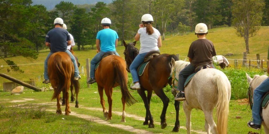 Nature Tours Algarve - Eco Tourism