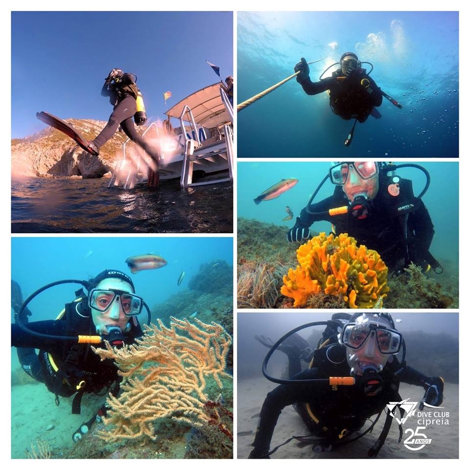 Scuba diving Lagos - Boat Trips - Lagos Activities